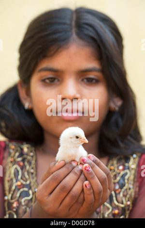 Young Indian girl holding a chick in the palm of her hands. India Stock Photo