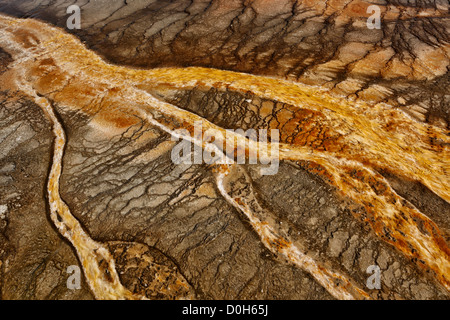 Bacterial mat - Midway geyser Basin