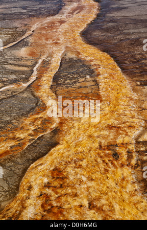 Bacterial mat - Midway geyser Basin