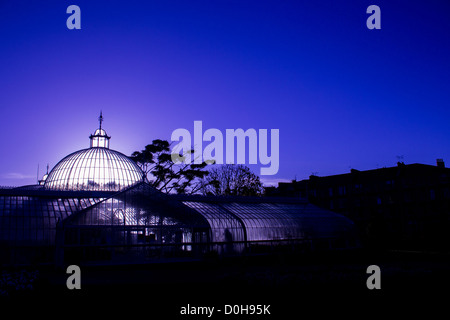 Kibble Palace, Glasgow, Botanic Gardens Stock Photo