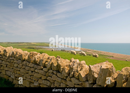 Close to the south west coast path near Abbotsbury, Dorset, looking east towards Chesil Beach and the distant Isle of Portland Stock Photo