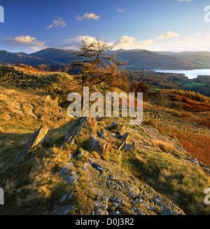 Daybreak near Lake Windermere in Cumbria. Stock Photo