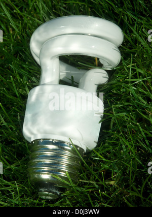 Energy efficient light bulbs on green grass Stock Photo