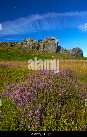 The Cow and Calf rocks on Ilkley Moor. Stock Photo