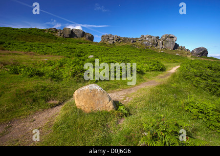 The path leading to Cow and Calf rocks on Ilkley Moor. Stock Photo