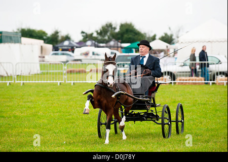 A horse and carriage at the Orsett Country Show. Stock Photo