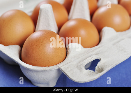 Raw chicken eggs in the package closeup Stock Photo