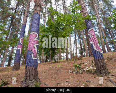 Oma Forest is a work of art by Agustin Ibarrola, a Basque sculptor and painter, in the natural reserve of Urdaibai in Spain Stock Photo