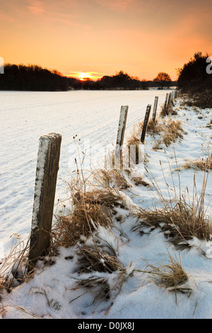 Fence posts at the side of a snow covered field at dawn. Stock Photo