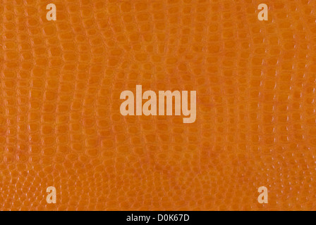 Background pattern on a sheet of paper Stock Photo