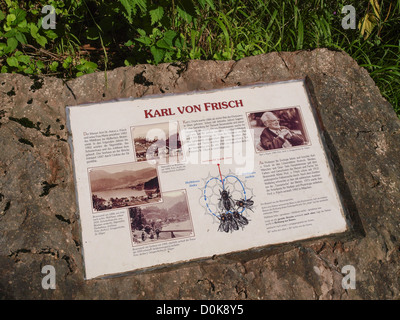 Karl von Frisch (1886-1982), Bee language, Austria, Salzburg, Salzkammergut, St Gilgen Stock Photo