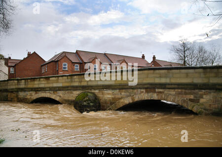 Heavy rain has brought flooding to many parts of the UK with North Yorkshire being particularly badly hit.  This picture shows Cod Beck, heavily swollen and in spate, threatening to engulf the bridge in the market town of Thirsk, North Yorkshire on 27th November 2012. Stock Photo