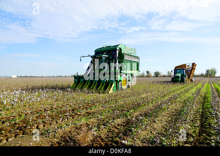 Cotton Field Being Harvested Mississippi US Stock Photo
