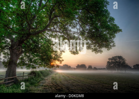 Sunrise over a misty field. Stock Photo