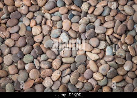 Multi colored of nature rock pebble in the garden Stock Photo