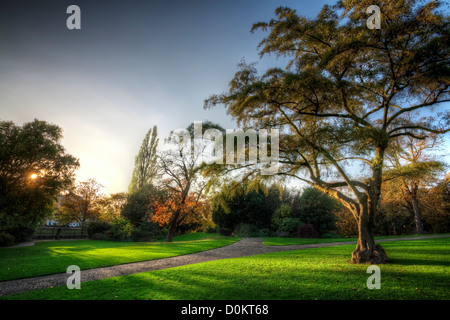 Sunset over the Museum Gardens in York. Stock Photo