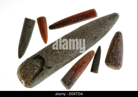 Collection of fossil guards of belemnites / Belemnitida from Lyme Regis, Jurassic Coast, Dorset, southern England, UK Stock Photo