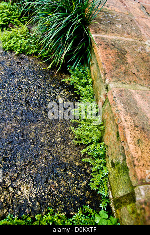 The back entrance at Pine Wood Estate at Bok Tower in Lake Wales, Florida. Stock Photo