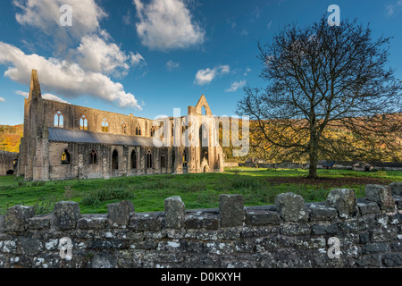 RUINS OF TINTERN ABBEY IN THE WYE VALLEY in AUTUMN Stock Photo