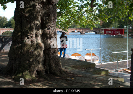 A large Plane tree by the River Avon, Stratford-upon-Avon, UK Stock Photo