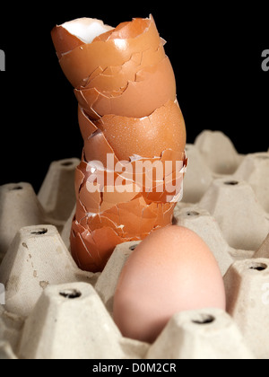 Egg shells and one whole egg in the carton. Stock Photo
