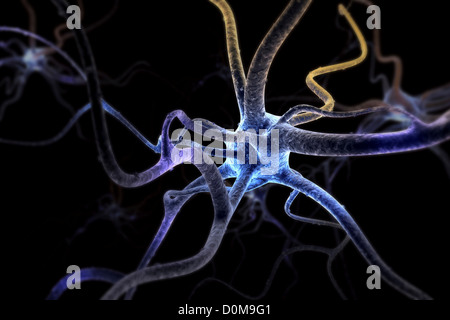 Stylized neuron cells from within the human nervous system. Stock Photo