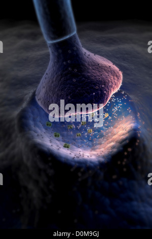 Synapse Structure Microscope Microscopic styled visualization of a synapse Stock Photo - Alamy