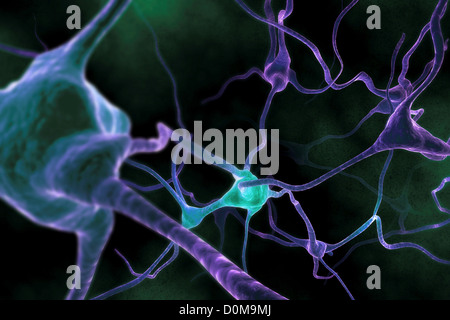 Microscopic styled visualization of neurons Stock Photo - Alamy