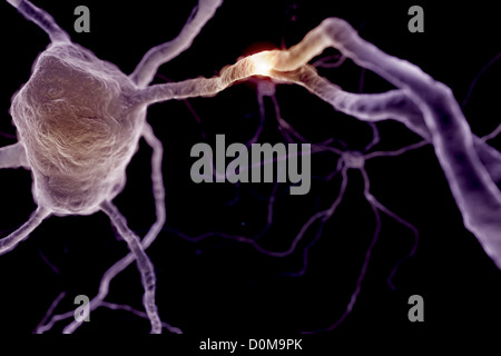 Microscopic styled visualization of neurons Stock Photo - Alamy