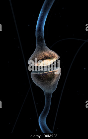 Synapse Structure Microscope Microscopic styled visualization of a synapse Stock Photo - Alamy