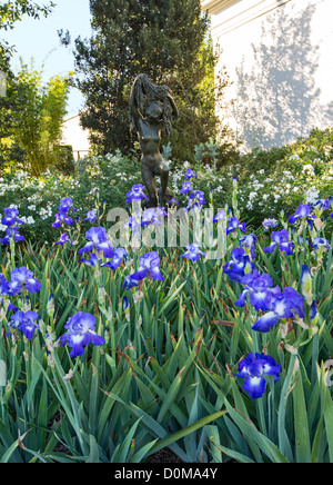 A field of irises surrounding the Little Lady from the Sea bronze sculpture at the Huntington Library and Botanical Gardens. Stock Photo