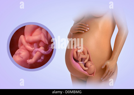 A human model showing pregnancy at week 36. Stock Photo