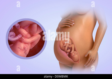 A human model showing pregnancy at week 38. Stock Photo