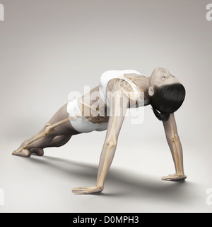 Skeleton layered over female body in upward facing plank pose showing skeletal alignment this particular yoga posture. Stock Photo