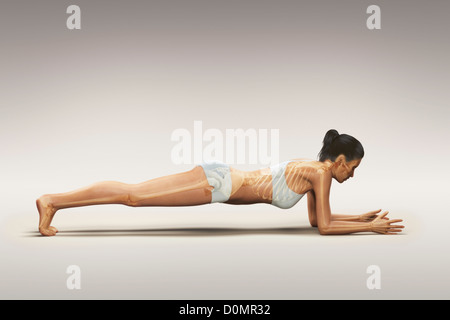 Skeleton layered over female body in variation dolphin plank pose showing skeletal alignment in this particular yoga posture. Stock Photo