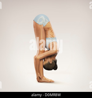 Skeleton layered over female body in standing forward bending pose showing skeletal alignment this particular yoga posture. Stock Photo