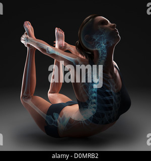 Skeleton layered over a female body in bow pose showing skeletal activity in this particular yoga posture. Stock Photo