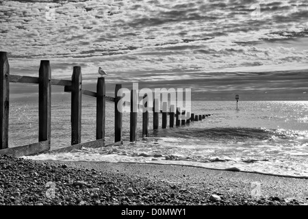 Groyne on Dawlish Warren beach in South Devon Stock Photo