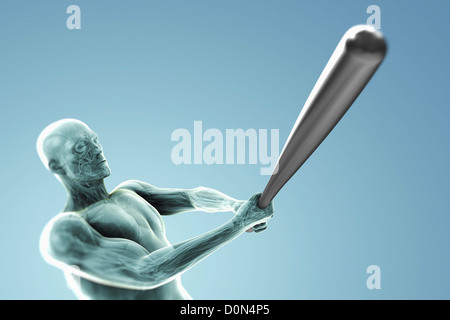 Male figure swinging a baseball bat. The internal anatomy is visible within the body. Stock Photo