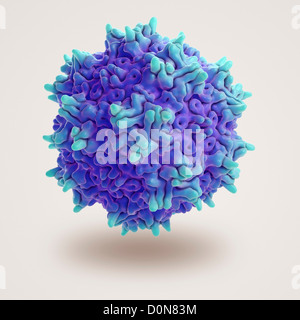 Atomic structure of Adeno-Associated Virus (PDB 1LP3), a vector for human gene therapy. Stock Photo
