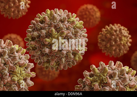 Structure Hepatitis B virus (HBV) (PDB 1QGT) species genus Orthohepadnavirus which is part Hepadnaviridae family viruses. Stock Photo