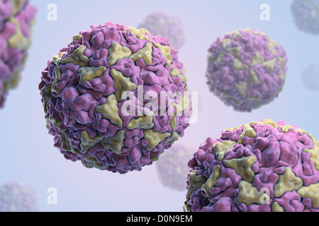 Structure Human Rhinovirus (PDB 4RHV). Rhinoviruses are most common ...