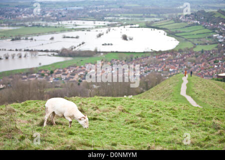 Glastonbury, United Kingdom-November 27th. Sheep grazing on upper level of Glastonbury Tor.Tourists on path up to Glastonbury Tor. Flood water in the fields surrounding the Glastonbury Tor on the Somerset Levels. Photograph taken from elevated Glastonbury Tor, Glastonbury, Somerset, England. Stock Photo
