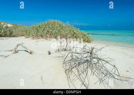 View from a beautiful tropical beach on a remote desert island with bushes Stock Photo