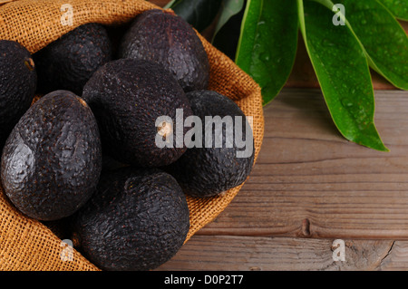 https://l450v.alamy.com/450v/d0p2t7/hass-avocados-in-a-burlap-sack-on-a-wood-background-with-leaves-horizontal-d0p2t7.jpg