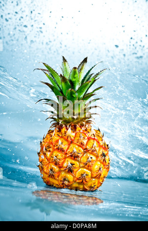 Fresh pineapple Stock Photo