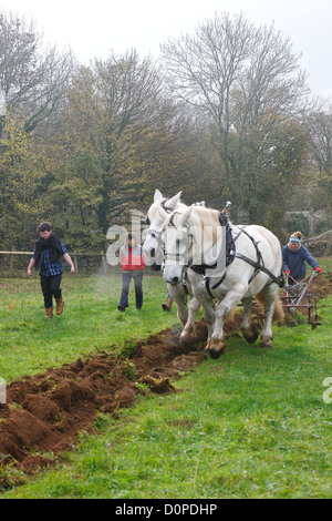 ploughing a field Stock Photo