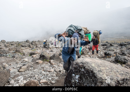 MT KILIMANJARO, Tanzania - A porter poses for the camera on the trail between Moir Hut Camp (13,660 feet) and Lava Tower (15,215 feet) on Mt Kilimanjaro's Lemosho Route. At this elevation, the heath zone (moorland) gives way to rocky alpine desert. Stock Photo