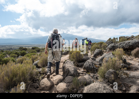 MT KILIMANJARO, Tanzania - Hikers navigate the rocky terrain of the heath zone of Mt Kilimanjaro's Lemosho Route. Stock Photo