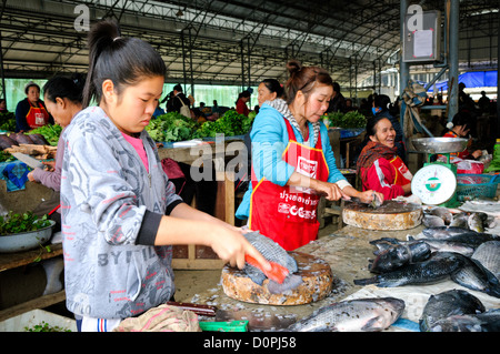 SAM NEUA, Laos - A young woman scales fish for sale at the morning market in Sam Neua (also spelled Samneua, Xamneua and Xam Neua) in northeastern Laos. Stock Photo